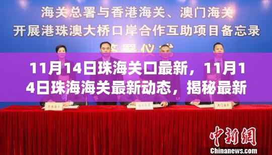 揭秘,珠海海关最新动态与政策进出口物流新变化(11月14日更新)