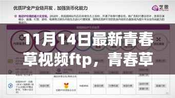 青春草视频揭秘,内容与双刃剑效应的双重影响