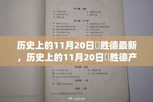 历史上的11月20日姫胜德产品深度评测，特性、体验、竞争分析与用户群体全面解读