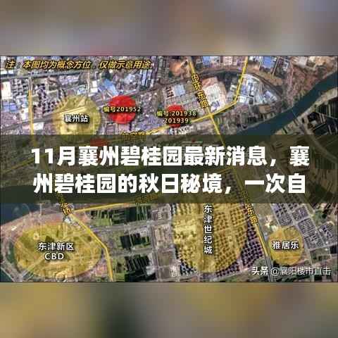 襄州碧桂园秋日秘境，自然美景的心灵之旅最新消息揭秘