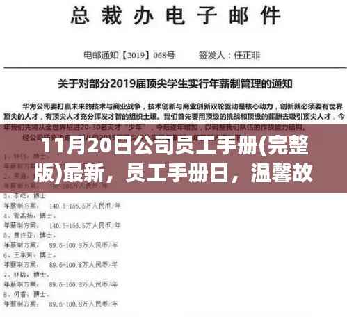 11月20日公司员工手册(完整版)最新，员工手册日，温馨故事里的职场友情与家庭连结