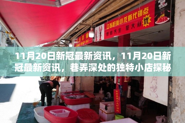 目不转睛 第17页