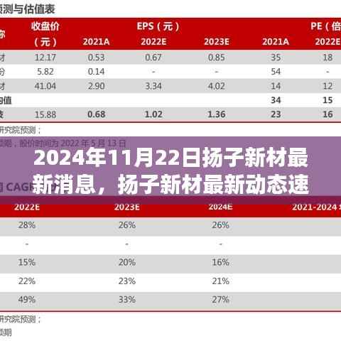 2024年11月22日扬子新材最新消息，扬子新材最新动态速递，2024年11月22日的三大看点