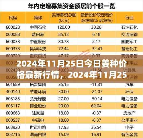 2024年姜种价格最新行情详解及种植指南