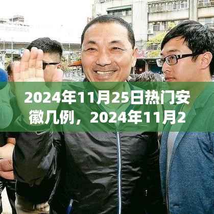 2024年11月25日安徽疫情最新热点解读,病例数量及防控措施