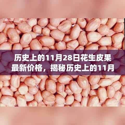 全方位解析，历史上的11月28日花生皮果最新价格获取与解读步骤指南