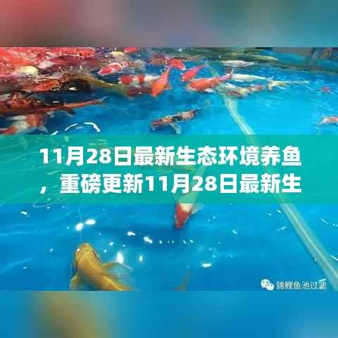 星星打烊 第16页