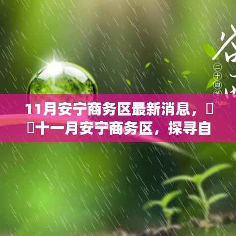 十一月安宁商务区最新动态，探寻自然秘境，启程心灵之旅