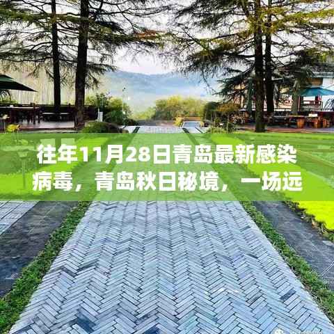 青岛秋日秘境,病毒之外的绿色探险之旅