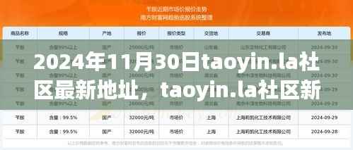 2024年11月30日taoyin.la社区新址展望，机遇与挑战并存