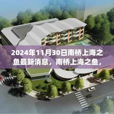 南桥上海之鱼，温馨日常与深厚友情的见证（最新消息，2024年11月30日）