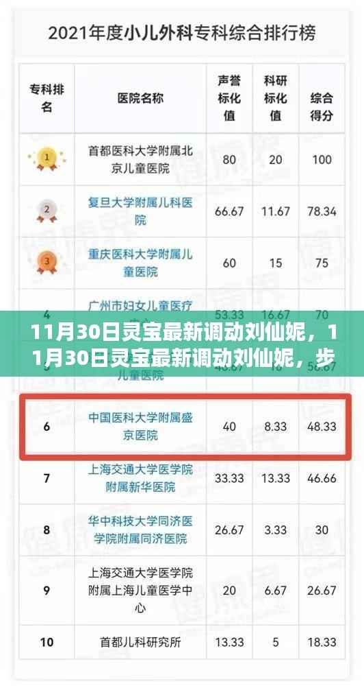 揭秘灵宝最新人事调动，刘仙妮的晋升之路与技能学习指南