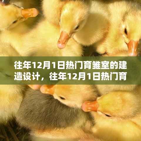 往年12月1日育雏室建造设计趋势与热门创新方案