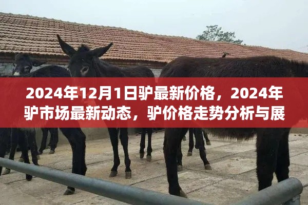 肝胆相照 第13页