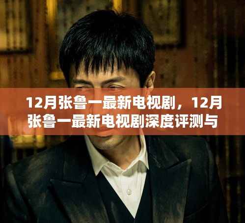 张鲁一最新电视剧深度评测与介绍，12月热播剧集一览