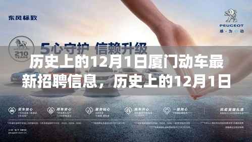 花开无言 第13页