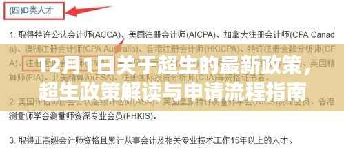 超生政策解读与申请流程指南,最新政策解读适用于初学者与进阶用户