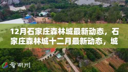 石家庄森林城十二月最新动态,城市绿肺新篇章开启