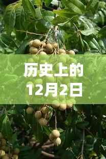 历史上的今天，西安桂圆西苑科技新品重磅发布，智能革命风暴掀起未来科技新生活体验