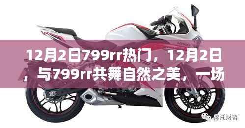 12月2日与799rr共舞自然，奇妙旅行寻找内心平静之旅