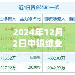 中银绒业最新动态解析，产品特性、用户体验与目标用户群体深度分析（2024年12月）