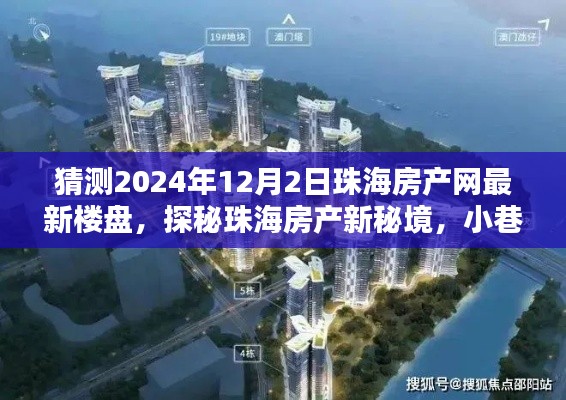 珠海房产网最新楼盘探秘,未来秘境与独特小店的探秘之旅(预测至2024年12月2日)