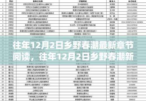 探寻乡村浪漫与生机，往年12月2日乡野春潮最新章节阅读分享