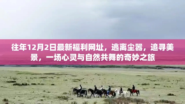 心灵与自然共舞,逃离尘嚣的奇妙之旅,最新福利网址揭秘