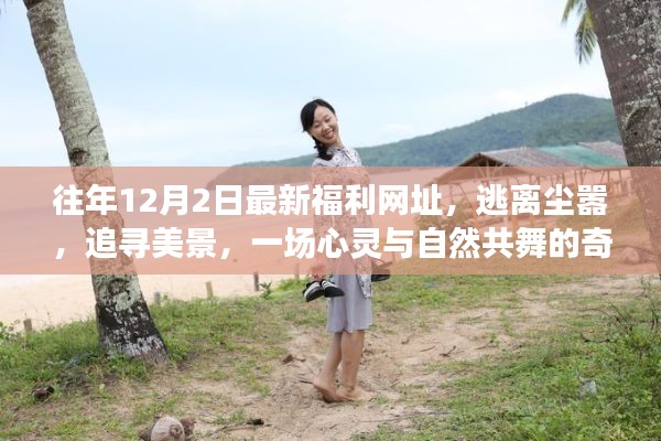 心灵与自然共舞,逃离尘嚣的奇妙之旅,最新福利网址揭秘