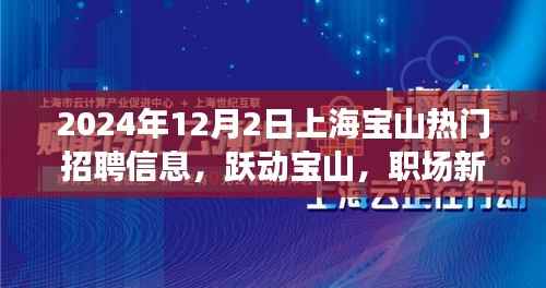 跃动宝山,职场新星,上海宝山热门招聘信息全解析(2024年)
