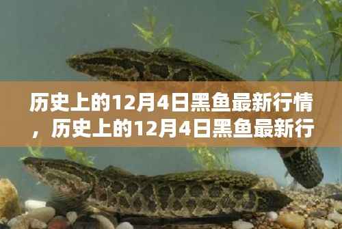 云烟 第8页