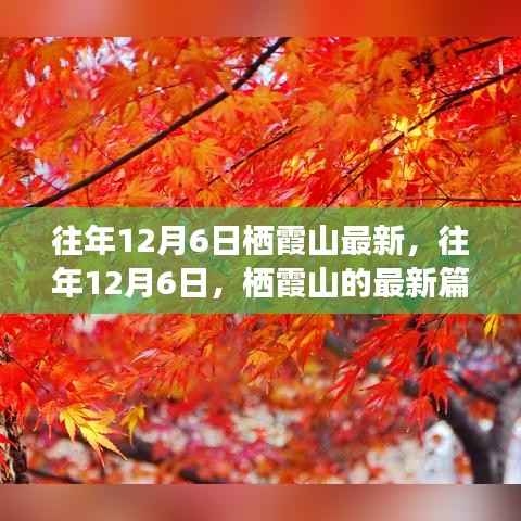 往年12月6日栖霞山深度解析，历史、事件与地位的新篇章