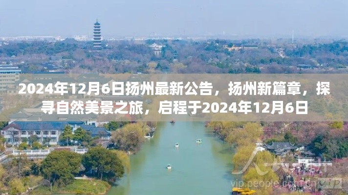 扬州新篇章启程,探寻自然美景之旅的最新公告(2024年12月6日)