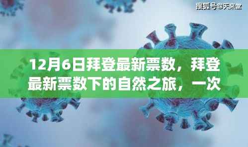 拜登最新票数背后的奇妙心灵之旅,寻找内心平静的探险之旅