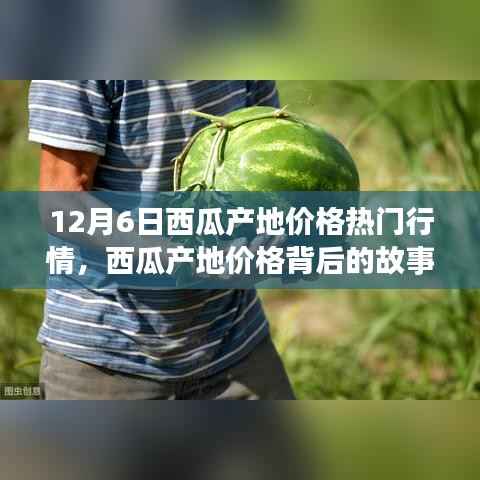 12月6日西瓜产地价格深度解析,变化的力量与自信的种子