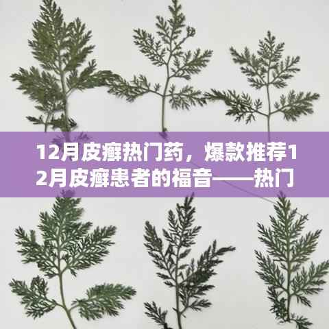 12月皮癣热门药物大盘点,爆款推荐与患者的福音
