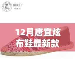 唐宜炫布鞋最新科技风尚款，融合传统与智能，引领时尚新潮流的价格揭秘