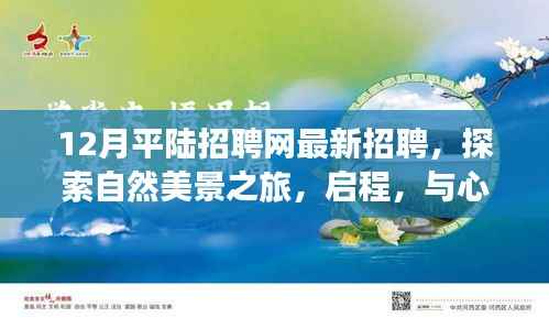 平陆最新招聘与探索自然美景之旅,启程寻找宁静就业机会