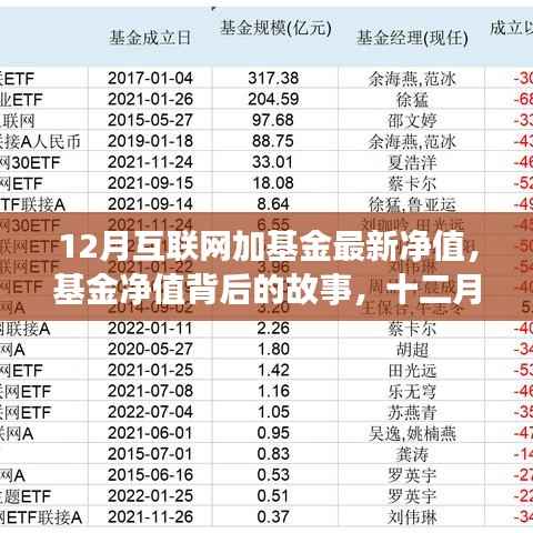 十二月互联网加基金最新净值，温情陪伴背后的投资故事
