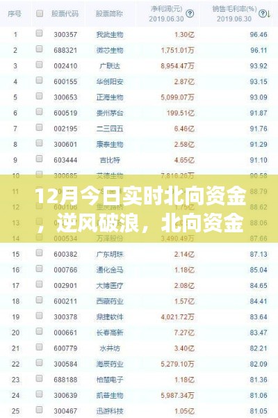 北向资金启示下的成长奇迹，12月实时洞察，自信成就梦想之旅
