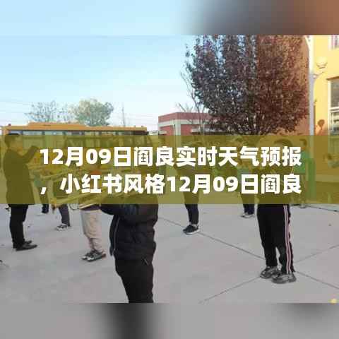 小红书风格12月09日阎良实时天气预报，冬日暖阳下的精准气象预测概览