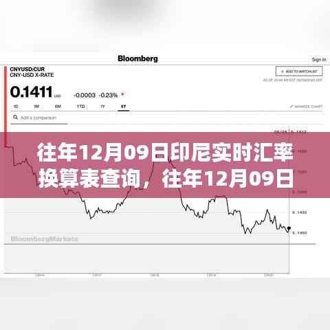 往年12月09日印尼实时汇率换算表查询,掌握货币转换技巧,轻松应对汇率波动!