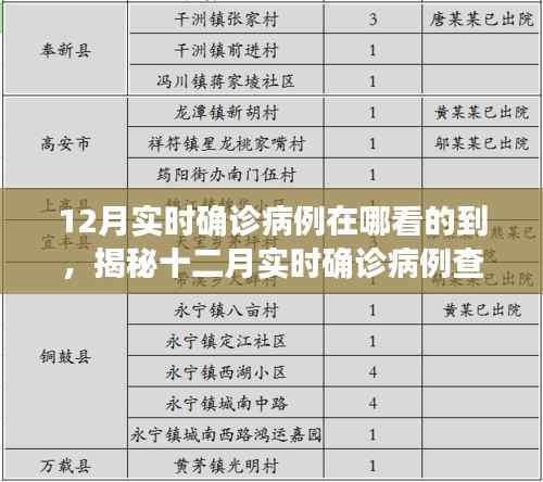 揭秘十二月实时确诊病例查询途径,轻松掌握疫情动态科普知识