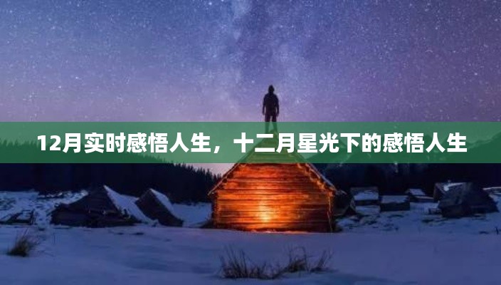 十二月星光下的实时人生感悟