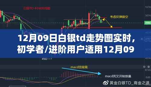 12月09日白银TD走势图实时分析指南，适合初学者与进阶用户