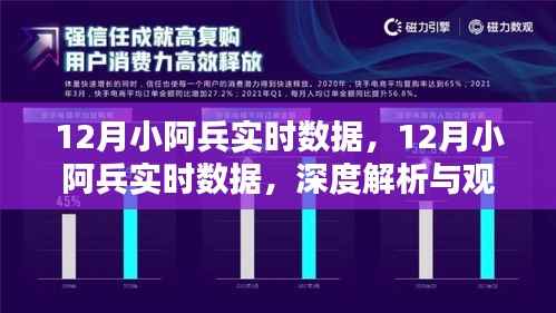 深度解析与观点阐述,12月小阿兵实时数据综述