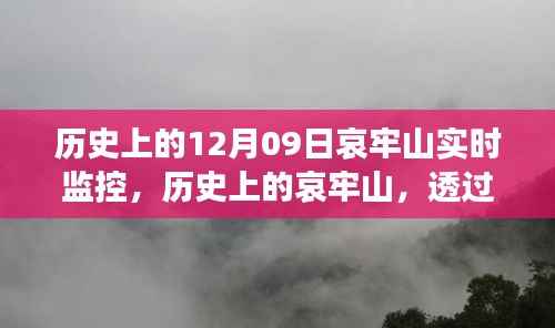 哀牢山历史监控实录，透过实时影像一窥昔日风采