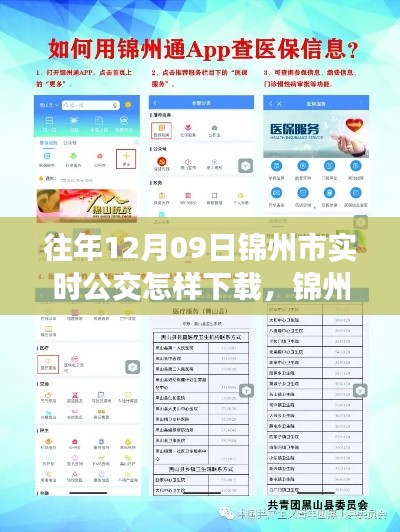 锦州市实时公交查询APP下载指南，以往年12月09日为例的教程分享