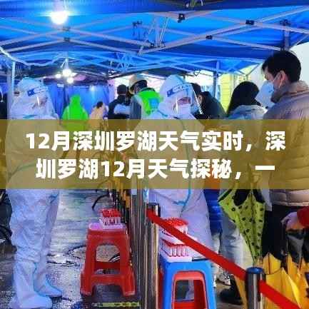 深圳罗湖12月温暖之旅,实时天气探秘与内心平静的寻找