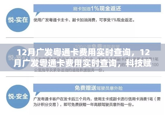 科技赋能,实时查询广发粤通卡费用,轻松掌握财务动态